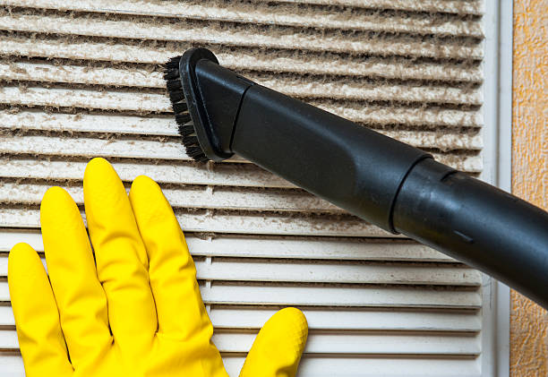 Air Duct Mold Removal in NV